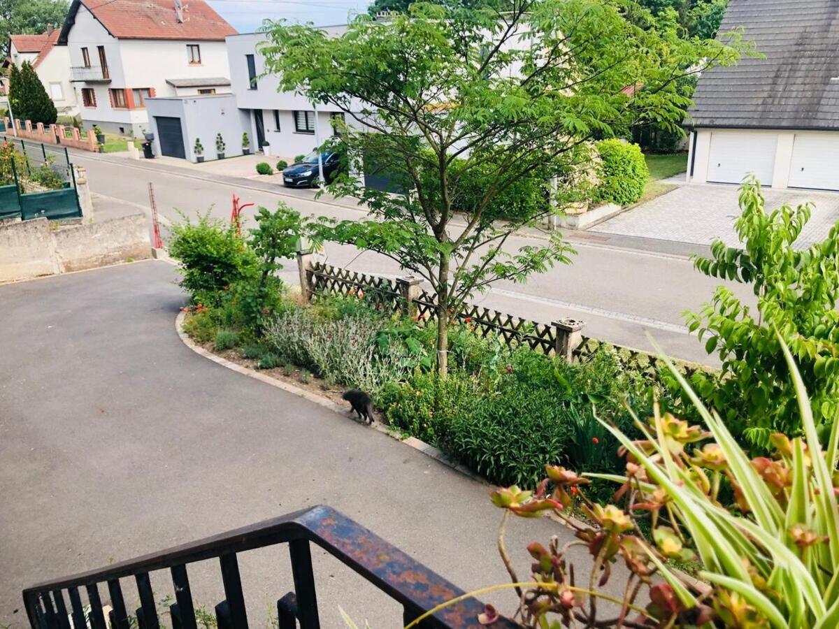 Gite Du Ried Bischwiller Buitenkant foto