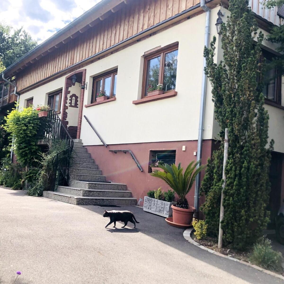 Gite Du Ried Bischwiller Buitenkant foto
