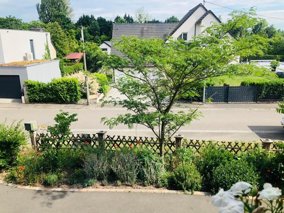 Gite Du Ried Bischwiller Buitenkant foto