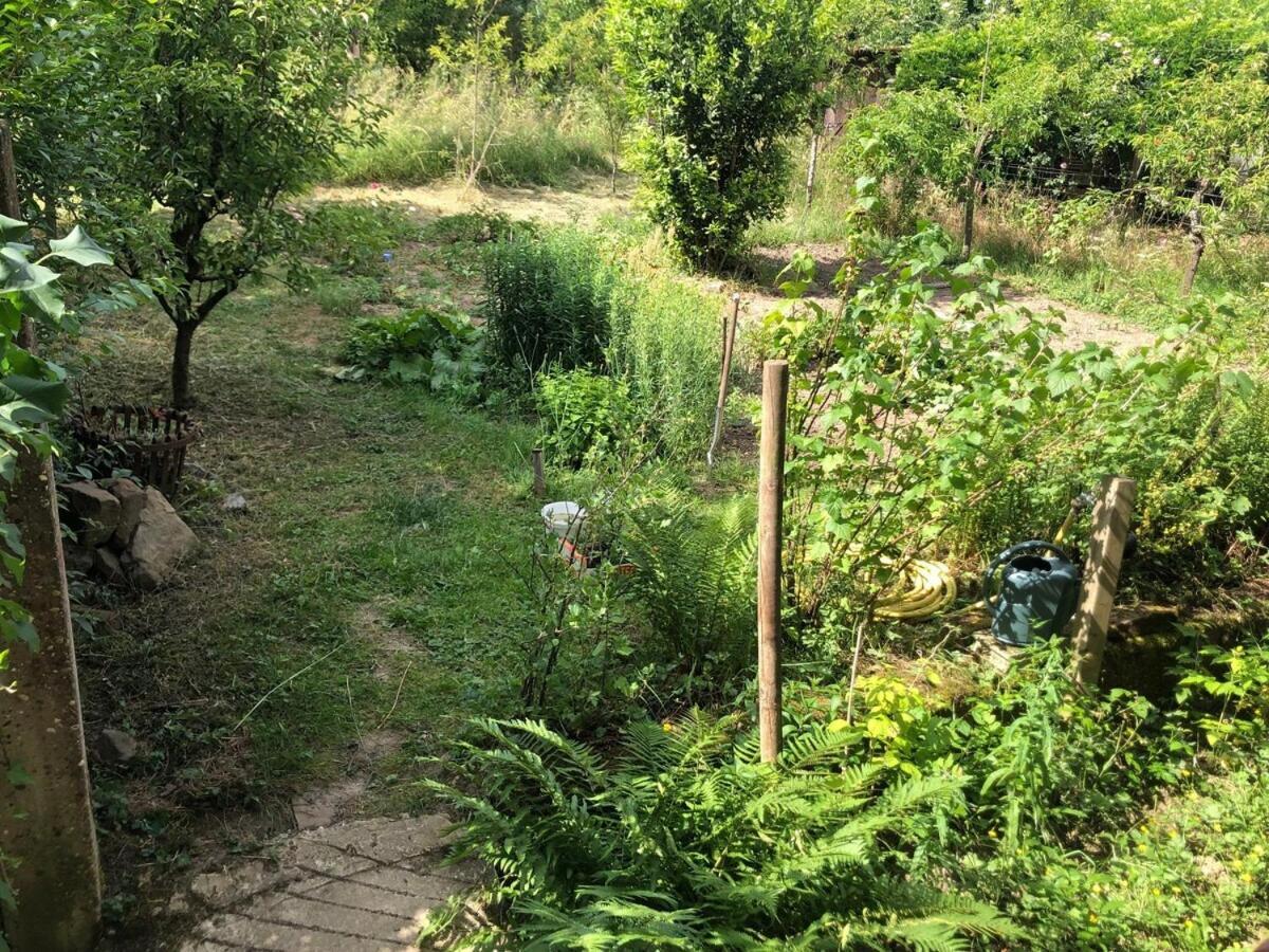 Gite Du Ried Bischwiller Buitenkant foto